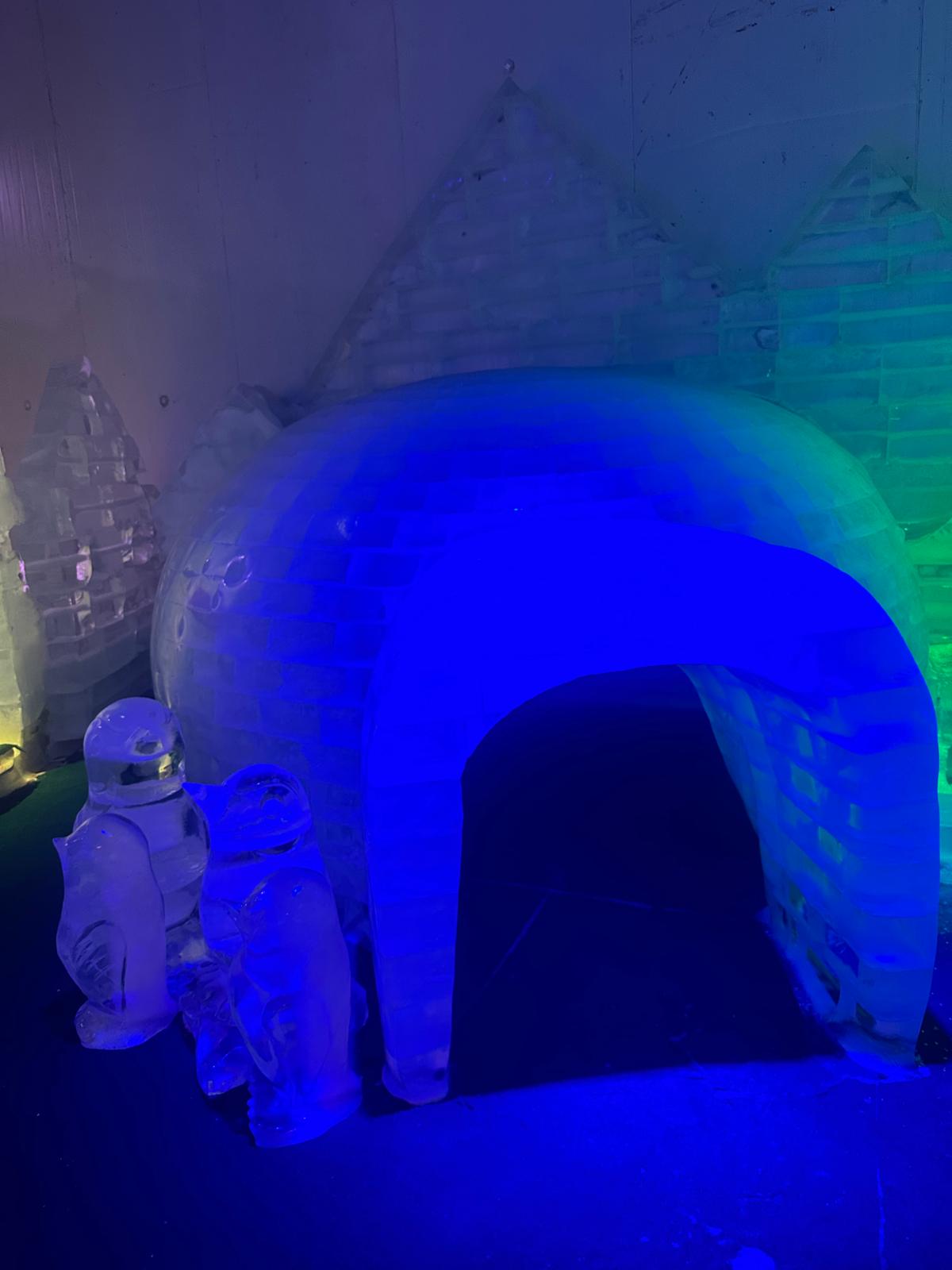 Tauchen Sie ein in eine magische Welt aus glitzerndem Eis und stimmungsvollem blauem Licht, in der kunstvolle Iglus und niedliche Pinguinskulpturen auf Sie warten. Dieses faszinierende Winterwunderland bietet ein unvergessliches Erlebnis für Entdecker jeden Alters. Sichern Sie sich Ihren Platz auf dieser außergewöhnlichen Tour und erleben Sie die Faszination des ewigen Eises hautnah.